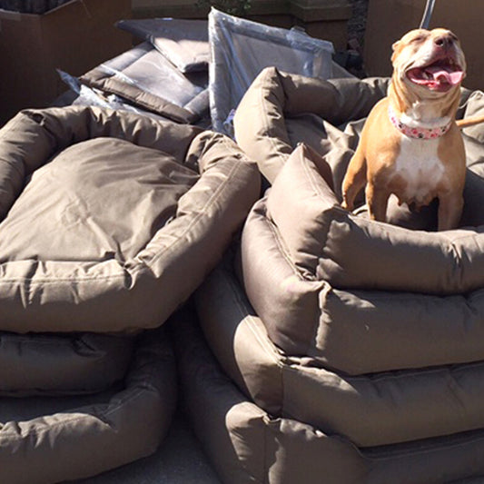 Over $100,000 in Donated Beds and Climbing
