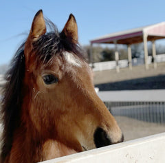 Beautiful Long Life For this Baby