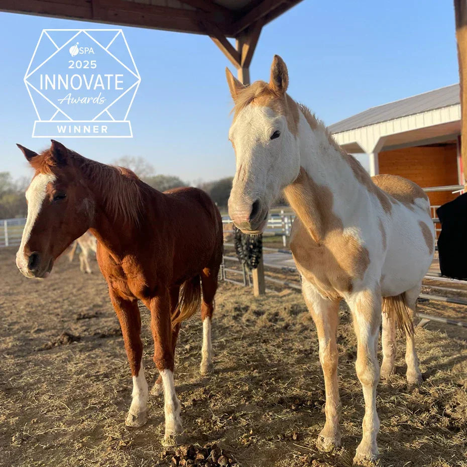 Our Animal Sanctuary Initiative is an ISPA Innovate Award Winner!