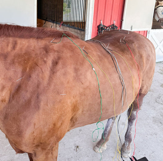 Beating the Texas Heat
