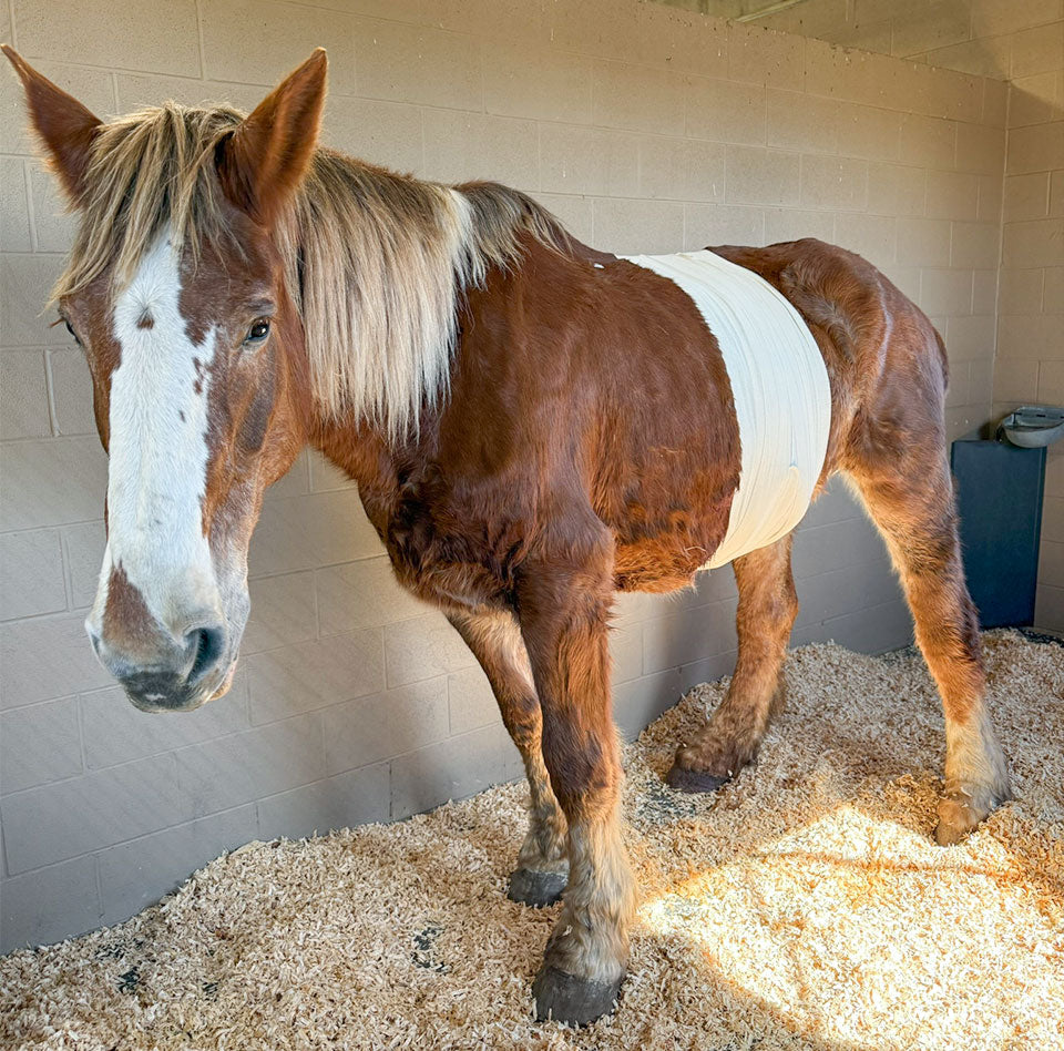 Four Drafts. One Weekend. Everything Changed.