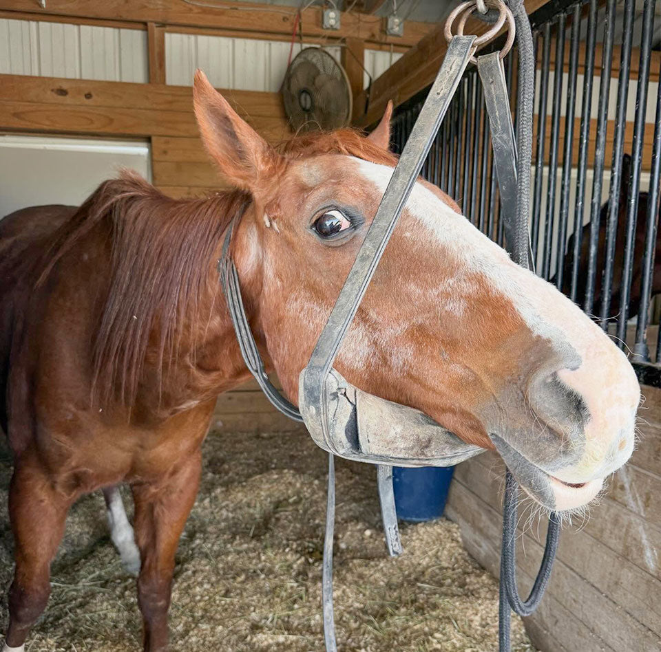 George Checks Off a Big Milestone