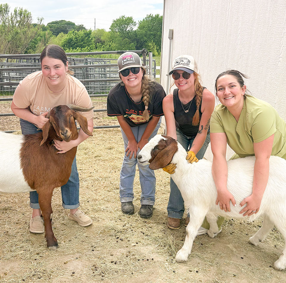 Herd Check Day at the Sanctuary