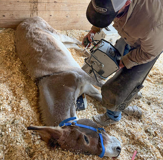 Listening to What Shasta Was Telling Us