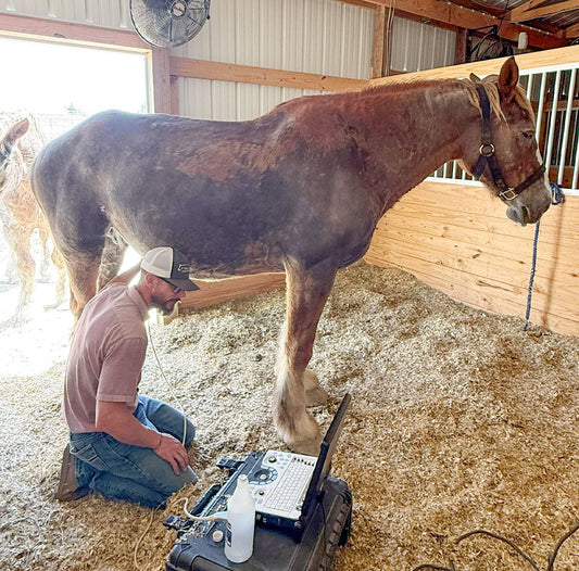 Meg’s Sweet Surprise: A Rescue & a Baby on the Way