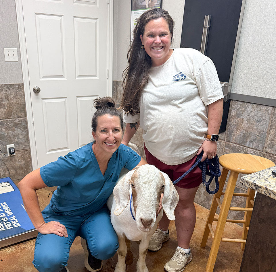 Pickles’ Skin Is Feeling Better
