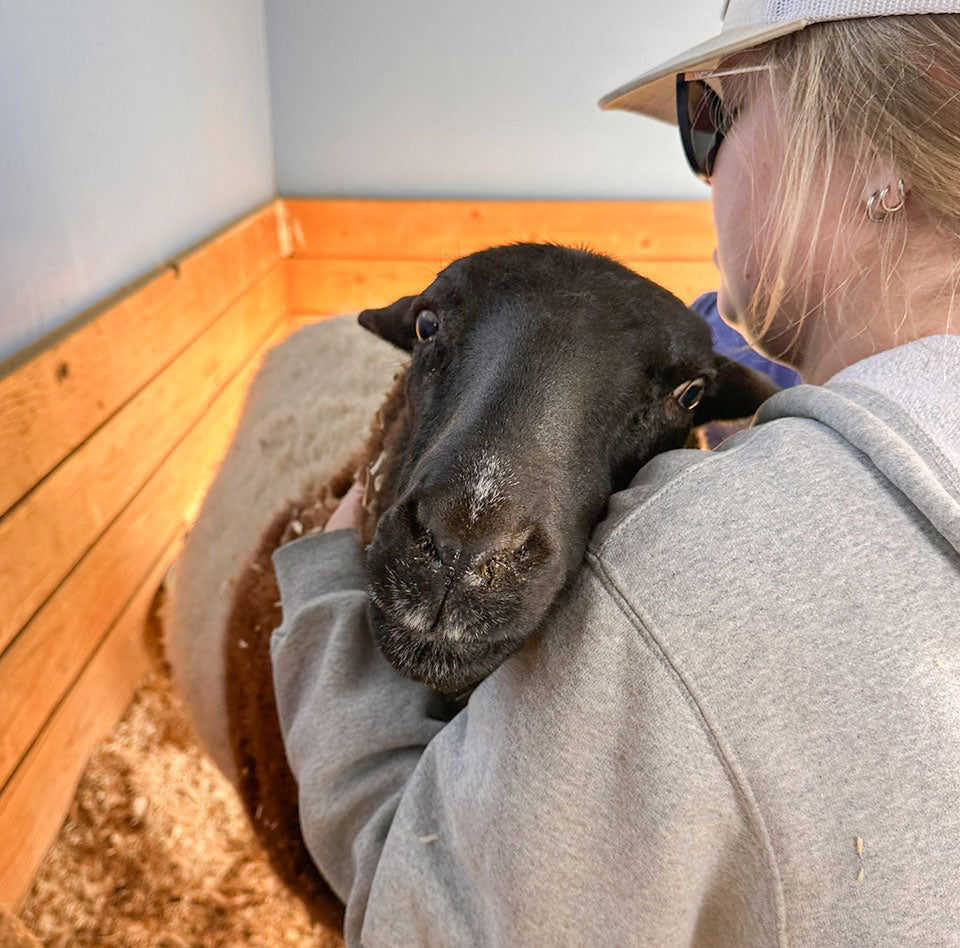 Spring Check-Up Day at the Sanctuary