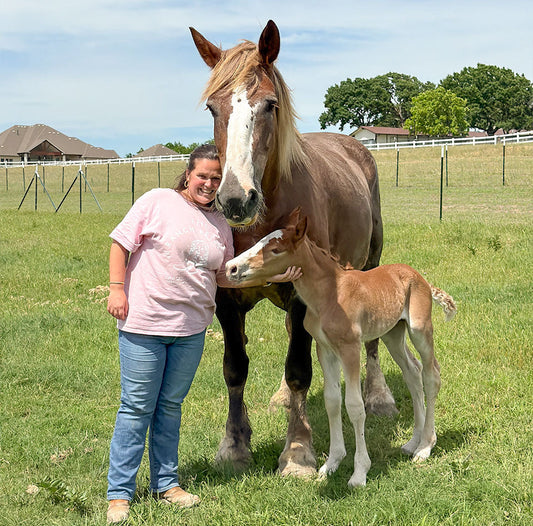 Welcome to the World, Baby Pegasus!