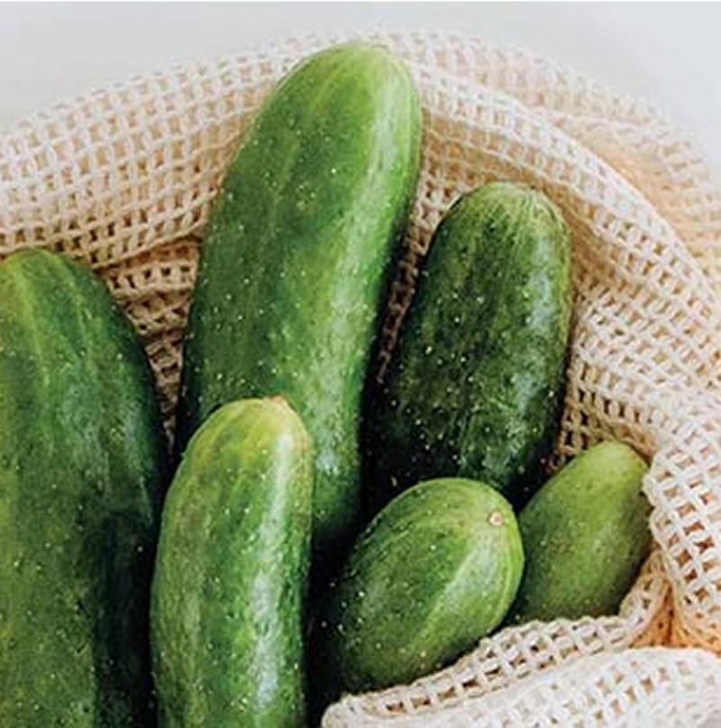 CUCUMBER