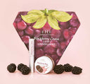 FarmHouse Fresh Blackberry Crush Lip Kit that includes a lip polish and lip balm made with organic blackberries.