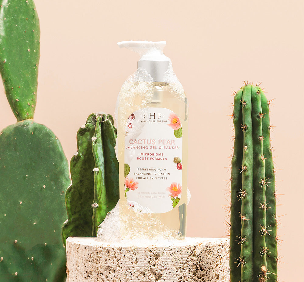prickly pear cactus for skin Cactus Pear