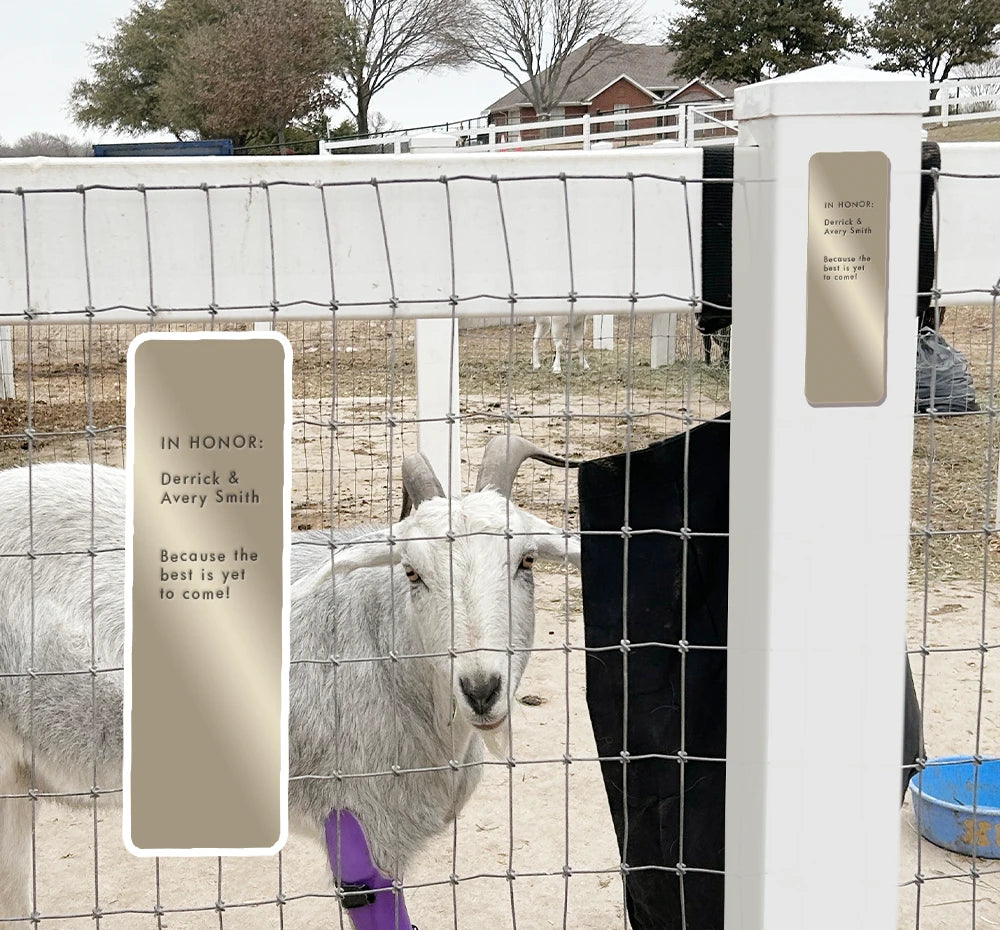 FHF Dedication Fence Post Become Lifesaving Member