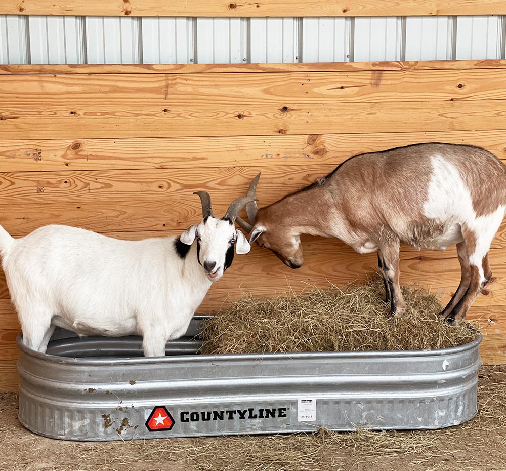 Moo Roo Moo – FarmHouse Fresh