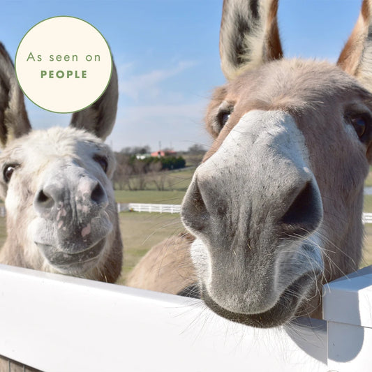 Skincare Company Also Runs  Rescue Full of Inspiring Animals that Employees Help Care For. — FarmHouse Fresh press feature