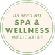 badge icon