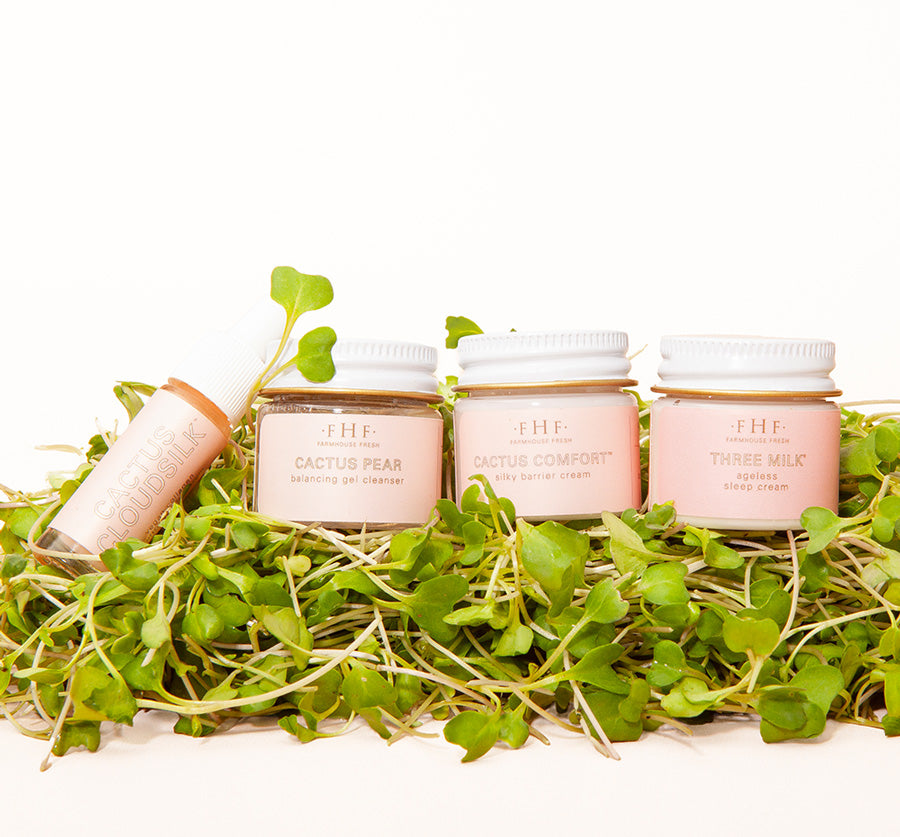 Firm Lasting Lift Starter Kit