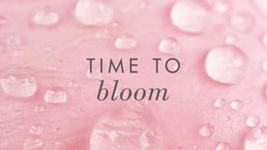 A video showing FarmHouse Fresh products made with rose hydrosol that revive and reawaken skin. 