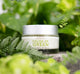 In consumer survey, after using FarmHouse Fresh Fields of Green Organic Matcha Ultra-Soothing Moisturizer for 14 days, 97% of participants agree that their skin feels soothed and less irritated.